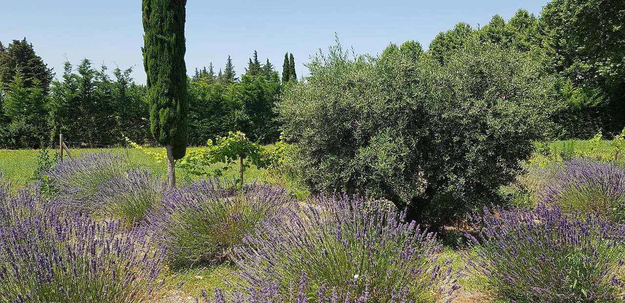 Bed and Breakfast La Pastorale Lagnes Francie
